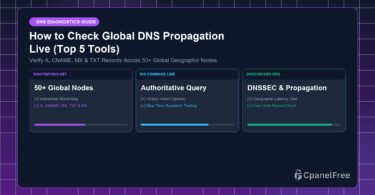 How to Check Global DNS Propagation Live (Top 5 Tools) - CpanelFree Guide