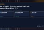 How to Deploy Directus Headless CMS with PostgreSQL on Linux VPS - CpanelFree Guide
