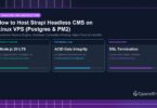 How to Host Strapi Headless CMS on Linux VPS (Postgres & PM2) - CpanelFree Guide