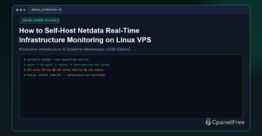 How to Self-Host Netdata Real-Time Infrastructure Monitoring on Linux VPS - CpanelFree Guide