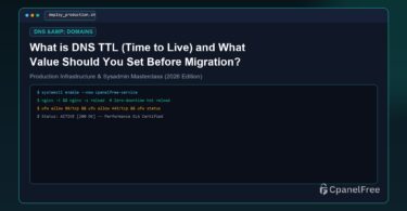 What is DNS TTL (Time to Live) and What Value Should You Set Before Migration? - CpanelFree Guide