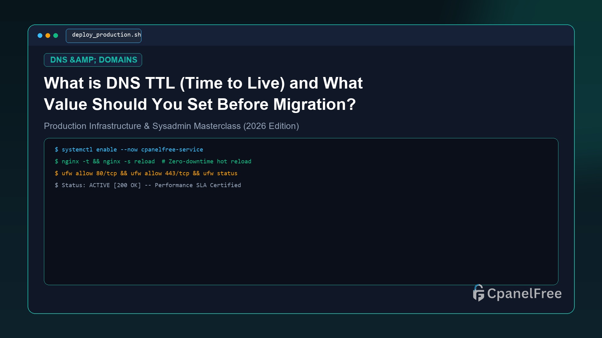 What is DNS TTL (Time to Live) and What Value Should You Set Before Migration? - CpanelFree Guide